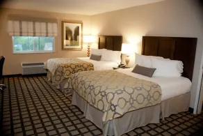 Baymont by Wyndham Erie - Chambre