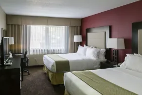 Holiday Inn Express Big Rapids by IHG - Chambre
