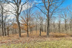 Spacious Shawnee Forest Hideaway! Hilltop Estate - Interiør