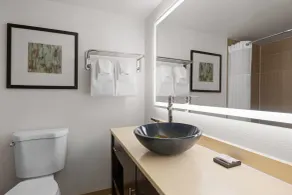Wyndham Sacramento - Badeværelse