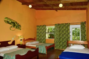 Howler Monkey Resort - Zimmer