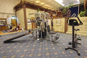 Harmoni Suites Hotel - Fitness facility