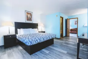 Blue Way Inn & Suites Wellington - Værelse