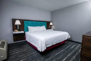 Hampton Inn Pickwick Dam-At Shiloh Falls - Værelse