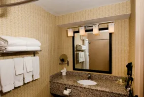 Holiday Inn St. Louis Airport West Earth City by IHG - Chambre