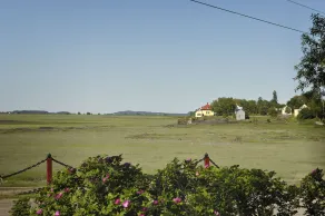 Auberge Pourvoirie Isle-aux-Grues - Chambre