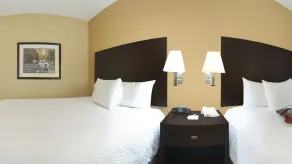 Hampton Inn & Suites-Knoxville/North I-75 - Chambre