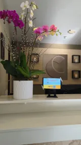 Comfort Inn & Suites - Recepción
