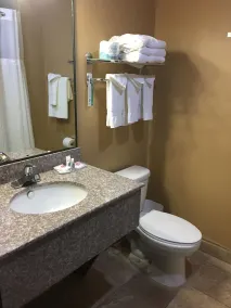 Comfort Suites Pflugerville - Austin North - Badrum