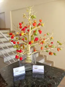 Montelaguna Boutique Hotel - Reception