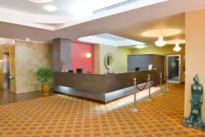 Hotel Plaza San Martin - Reception