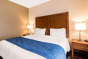 Comfort Suites Humble Bush Intercontinental Airport - Zimmer