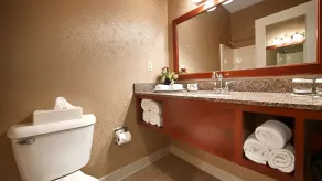 Best Western Plus Mentor-Cleveland Northeast - Bathroom