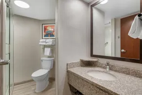 Drury Inn & Suites Joplin - Salle de bain