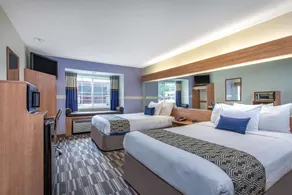 Microtel Inn & Suites by Wyndham Lillington/Campbell University - Zimmer