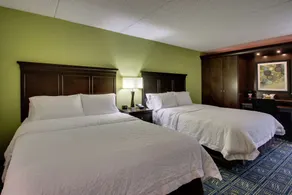 Hampton Inn DuBois - Room
