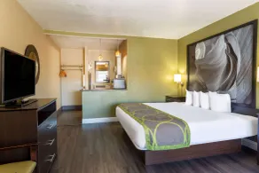 Super 8 by Wyndham NAU/Downtown Conference Center - Chambre