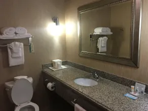 Comfort Suites Hobbs - Salle de bain