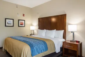 Comfort Inn Edwardsville - St Louis - Chambre