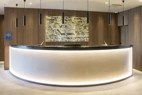 The Hedistar Hotel Kyoto Nijo Comic & Books - Reception