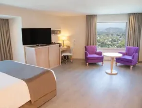 Diplomatic Park Suites - Habitación