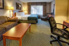 Quality Inn & Suites Twin Falls North - Chambre