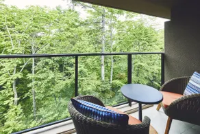 Hotel Indigo Karuizawa by IHG - Ausblick vom Zimmer