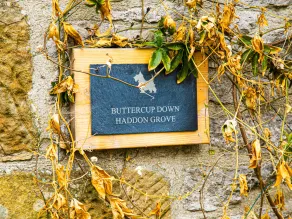 Buttercup Down - Interiör