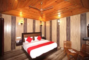 Damyanti Hotel And Resort - Room