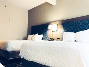 Comfort Inn & Suites Greenville Near East Carolina University - Værelse