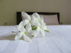 Hotel G Excursion - Room