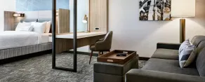 SpringHill Suites by Marriott Raleigh Apex - Chambre