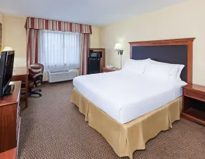 Holiday Inn Express & Suites - Laredo-Event Center Area by IHG - Chambre