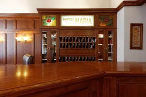Hotel Maria - Réception