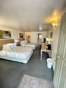 Alger Falls Motel - Rum