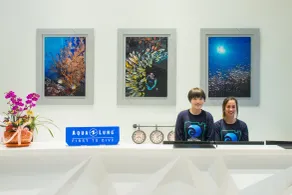 Divecube Hotel - Recepción