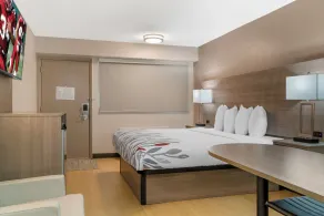 Red Roof Inn Detroit-Rochester Hills/ Auburn Hills - Zimmer