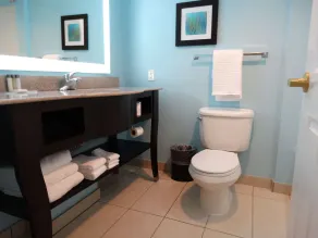 Best Western Plus Orlando Lake Buena Vista South Inn & Suites - Salle de bain