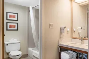 Comfort Inn Pine Grove I-81 Hershey Area - Badeværelse