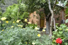 Olympos Mercan Bungalow - Room