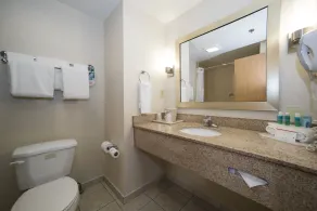 Holiday Inn Express & Suites Vicksburg by IHG - Salle de bain