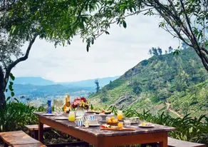 Jetwing Warwick Gardens, A Luxury Reserve - Restaurant