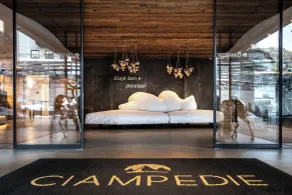 Ciampedie Luxury Alpine Spa Hotel - Reception