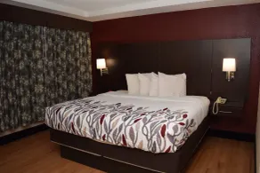 Red Roof Inn Batavia - Chambre