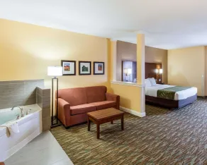 Comfort Suites Cotulla near I-35 - Chambre