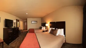 Econo Lodge Black Hills - Chambre