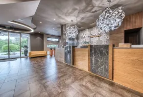 Volcano Spa Hotel - Réception
