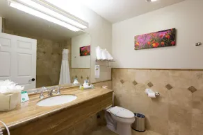 Moonstone Landing - Salle de bain