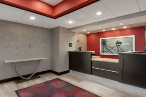 Hampton Inn & Suites Houston/Clear Lake-Nasa Area - Réception
