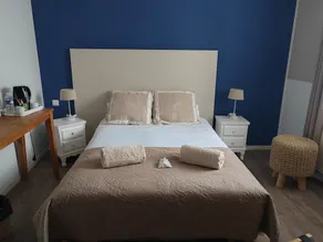 Hôtel Au Grand Duquesne  - Chambre